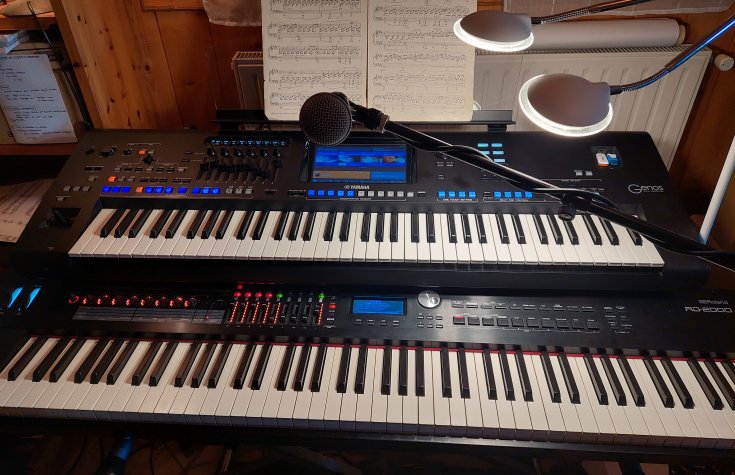 Pianiste Chanteur Compositeur